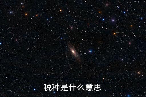 維護稅種什么意思，稅總維護是什么意思