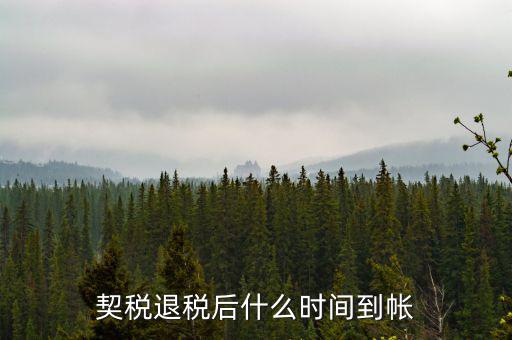 退稅款什么時(shí)候到賬，出口退稅款一般多久到賬