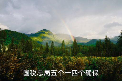 稅務(wù)局五個一是什么意思，國稅總局五個一四個確保