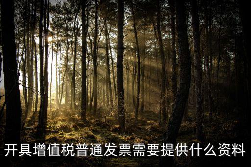 開增值稅提供什么資料，開具增值稅普通發(fā)票需要提供什么資料