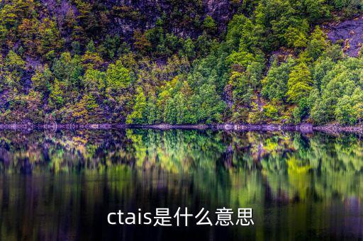 ctais是什么意思，ctais中增值稅認定級別是什么意思