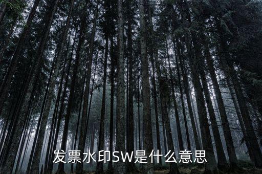 什么是發(fā)票水印，網(wǎng)購怎么辨別發(fā)票真徦
