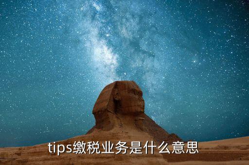地稅tips繳款是什么意思，tips扣稅是什么意思