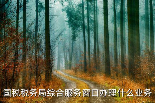 稅務(wù)局大廳窗口做什么，辦稅大廳都做些什么事