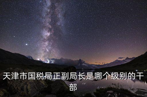 國稅局副局長是什么級別，天津市國稅局正副局長是哪個級別的干部