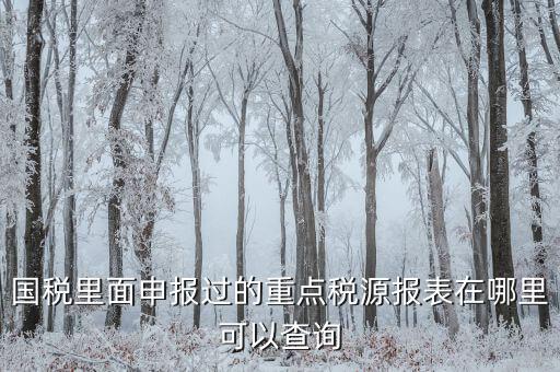重點稅源預測網(wǎng)址是什么，國稅里面申報過的重點稅源報表在哪里可以查詢