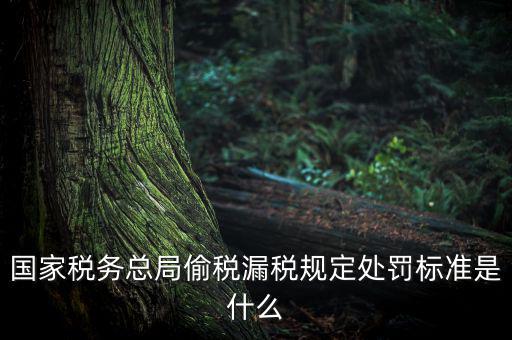 四稽國稅罰是什么意思，國稅局罰款結(jié)案是什么意思