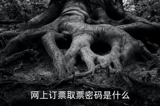 網(wǎng)絡(luò)發(fā)票密碼是什么，發(fā)票上密碼有什么用