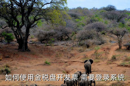 金稅盤要求什么系統(tǒng)，稅控發(fā)票開票軟件 需要什么系統(tǒng)