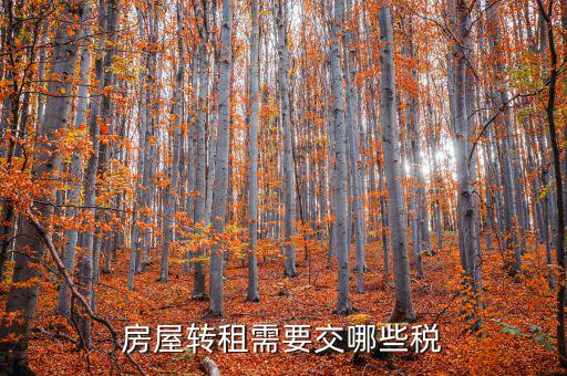 轉(zhuǎn)租房屋需要交什么稅，房屋轉(zhuǎn)租需要交哪些稅