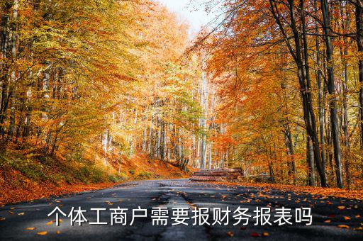 個(gè)體戶(hù)都需要申報(bào)什么表，個(gè)體工商戶(hù)需要報(bào)財(cái)務(wù)報(bào)表嗎