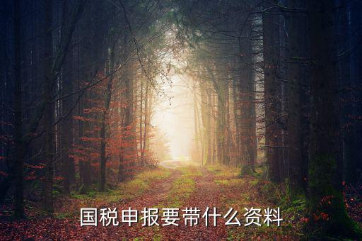 國稅注冊需要什么資料，國稅登記需要帶什么資料
