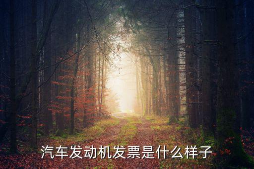 國(guó)稅出的機(jī)動(dòng)車發(fā)票是什么樣的，汽車發(fā)動(dòng)機(jī)發(fā)票是什么樣子