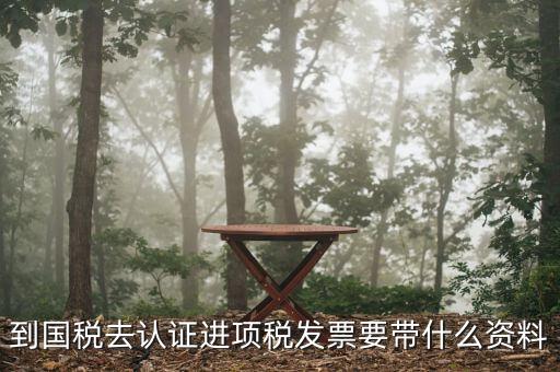 常州國稅認證發(fā)票需要帶什么，到國稅認證發(fā)票時需要帶什么資料