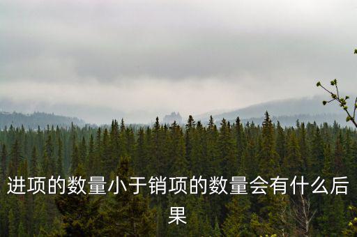 進(jìn)項(xiàng)的數(shù)量小于銷項(xiàng)的數(shù)量會有什么后果