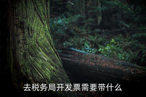 紹興市國稅購增值稅發(fā)票需要帶什么，到稅務(wù)局開增值稅專用發(fā)票帶什么