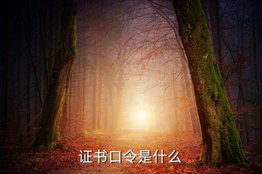 新稅盤(pán)證書(shū)口令是什么意思，金稅盤(pán)口令有什么用