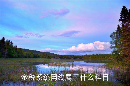 金稅系統(tǒng)入什么科目，金稅系統(tǒng)網(wǎng)線屬于什么科目