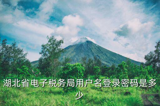 湖北省電子稅務(wù)局用戶(hù)名登錄密碼是多少
