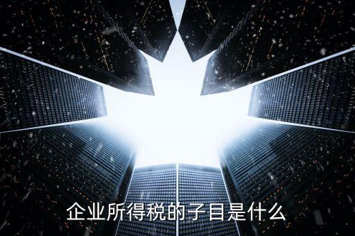 企業(yè)所得稅征收品目是什么，征收品目是什么