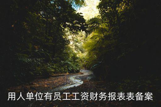 財(cái)務(wù)備案是什么意思，備案是什么意思