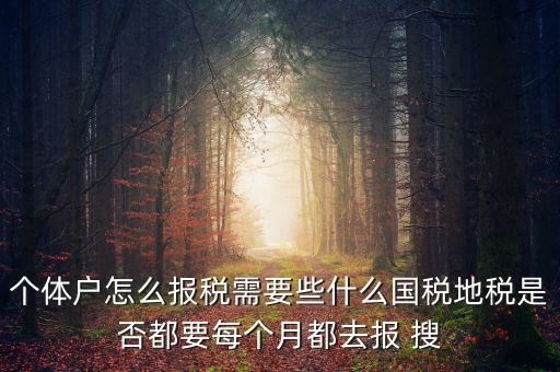 個(gè)體戶報(bào)稅都報(bào)什么，個(gè)體戶怎么報(bào)稅需要些什么國(guó)稅地稅是否都要每個(gè)月都去報(bào) 搜