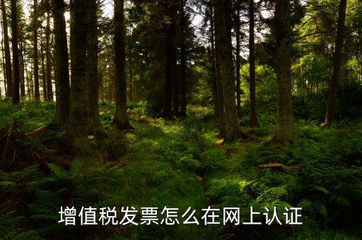 發(fā)票認(rèn)證需要什么軟件下載，國稅發(fā)票認(rèn)證需要準(zhǔn)備那些資料 到大廳辦的時候工作人員叫我拿U盤