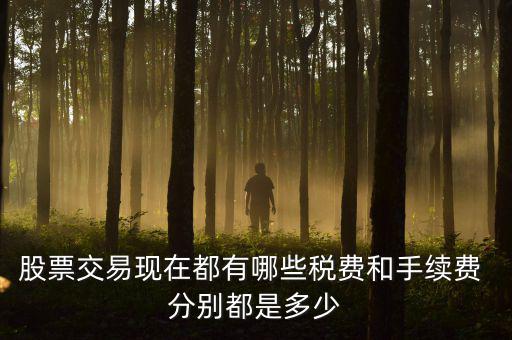 賣出股票要交什么稅，營改增后企業(yè)買賣股票應(yīng)按照什么稅目繳納增值稅