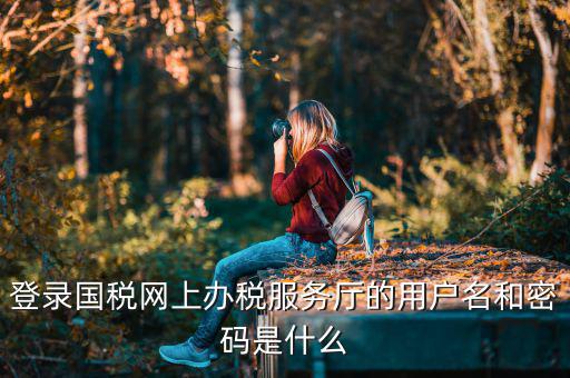 陜西電子稅務(wù)局登錄賬號(hào)是什么，登錄國(guó)稅網(wǎng)上辦稅服務(wù)廳的用戶名和密碼是什么