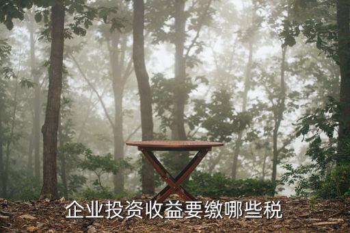 企業(yè)收到對(duì)外投資收益需交什么稅，投資收益要交些什么稅