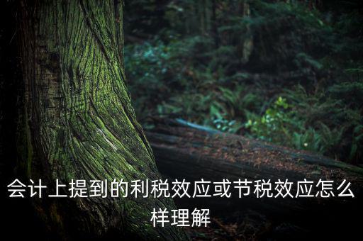 節(jié)稅效應(yīng)是節(jié)的什么稅，什么是節(jié)稅額