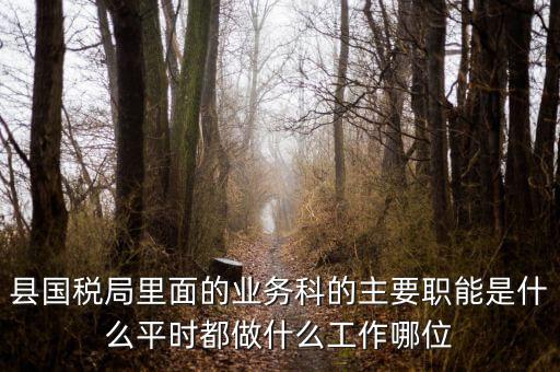 什么是稅政工作，縣國稅局里面的業(yè)務(wù)科的主要職能是什么平時都做什么工作哪位