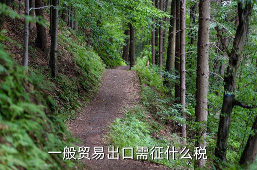 出口繳什么稅，出口貨物需要交哪些稅 請一一列舉出來詳細(xì)謝謝