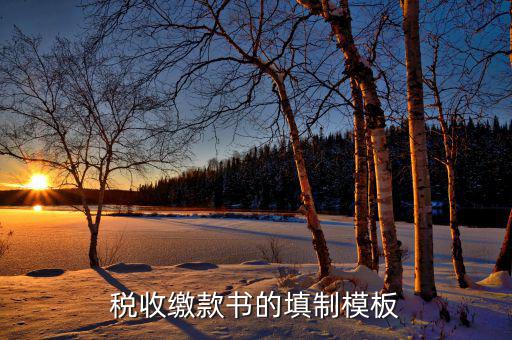 稅收繳款書(shū)字軌是什么，什么是文書(shū)字軌