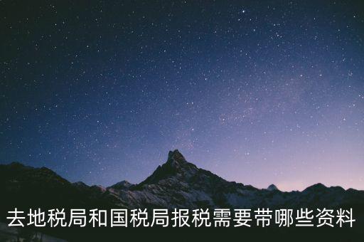 到國(guó)稅報(bào)稅需要什么，去地稅局和國(guó)稅局報(bào)稅需要帶哪些資料