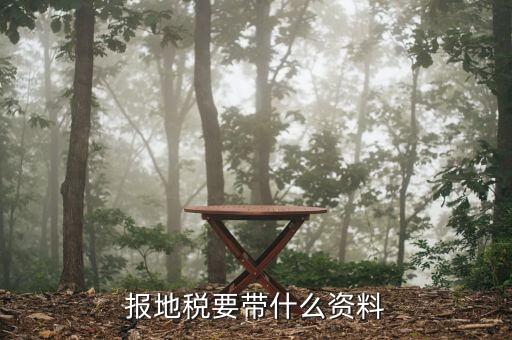 報(bào)地稅要帶什么資料，地稅報(bào)稅需要什么資料