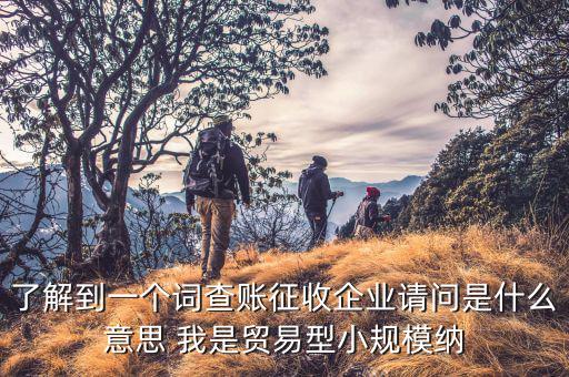 企業(yè)征收是什么，企業(yè)核定征收是怎么回事求詳解