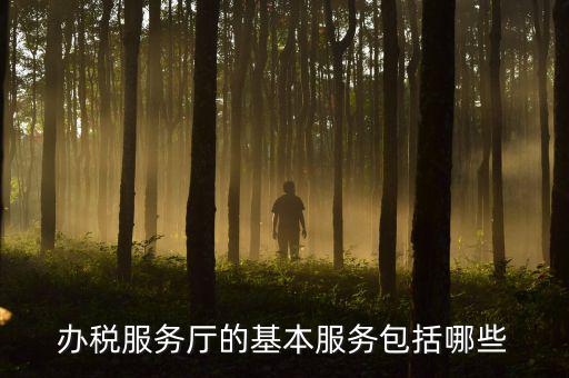 一體化辦稅服務(wù)廳是什么，辦稅服務(wù)廳的基本服務(wù)包括哪些