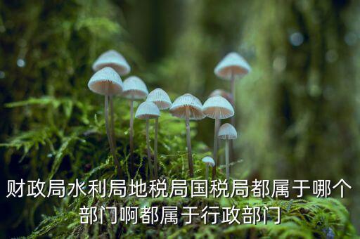 財(cái)政局水利局地稅局國稅局都屬于哪個部門啊都屬于行政部門