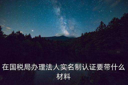 服務(wù)廳實名辦稅要帶什么，服務(wù)業(yè)辦稅務(wù)登記要些什么證件