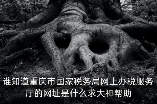 重慶稅務(wù)網(wǎng)站是什么，那個小型企業(yè)網(wǎng)上申報稅務(wù)的網(wǎng)站是多少啊發(fā)了一張流程表上