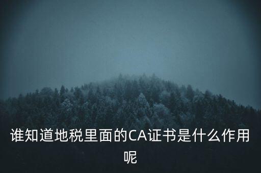地稅的ca證書是什么，什么是聯(lián)通ca證書地稅ca證書