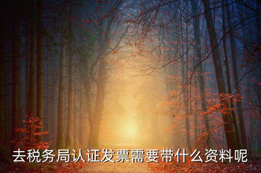 發(fā)票認(rèn)證都需要帶什么，去開票大廳認(rèn)證發(fā)票需要帶什么資料