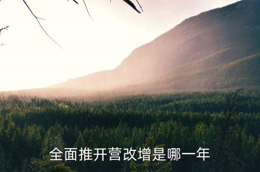 17年?duì)I改增改了什么時(shí)候，全面推開(kāi)營(yíng)改增是哪一年