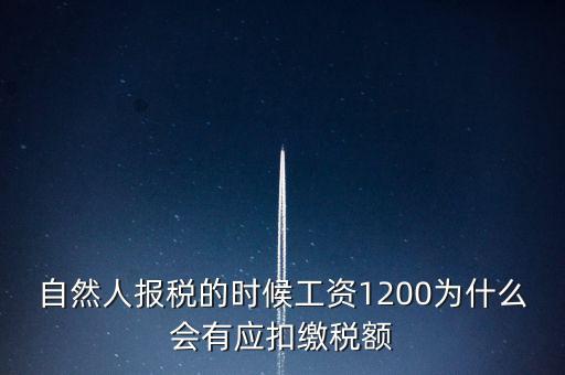 自然人報稅為什么，自然人辦稅服務(wù)平臺實名注冊的目的是什么