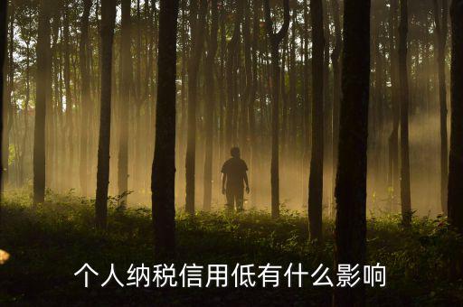 納稅信用記錄是什么，金稅三期納稅信用管理是什么意思