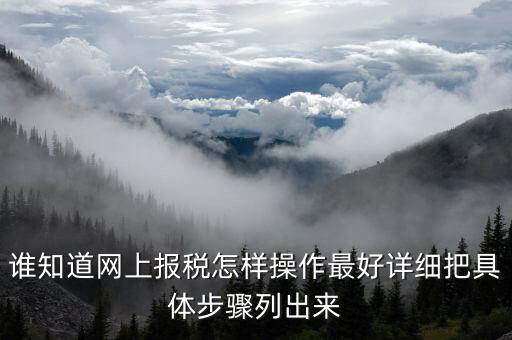 成品油消費(fèi)稅在什么系統(tǒng)申報，請教網(wǎng)上報稅步驟謝謝大家了