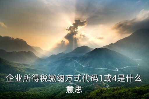 征收代碼是什么意思，工商所開(kāi)的非稅收入收款收據(jù)上的代碼是什么意思