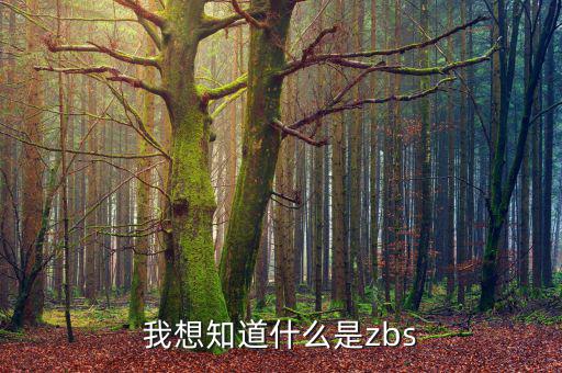 什么是稽查函，稽便函是什么意思