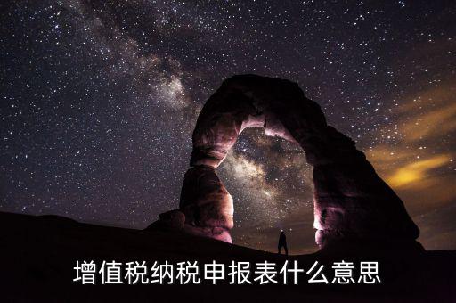增值稅匯總申報是什么意思，申報是什么意思